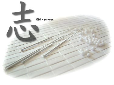 Heilpraktiker in Ettlingen - Akupunktur, Homšopathie und Traditionelle Chinesische Medizin, TCM